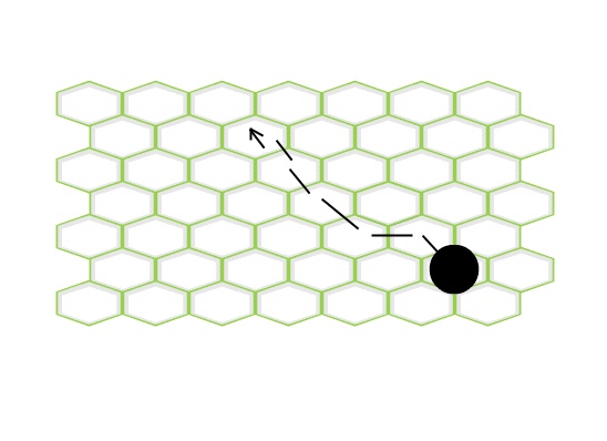 ��������: hex1.jpg
����������: 317

������: 41.0 ��