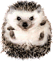 ������ ��� vrabik