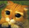 ������ ��� dant