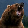 ������ ��� zoo