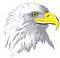 ������ ��� Doc.Eagle