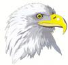 ������ ��� Doc.Eagle